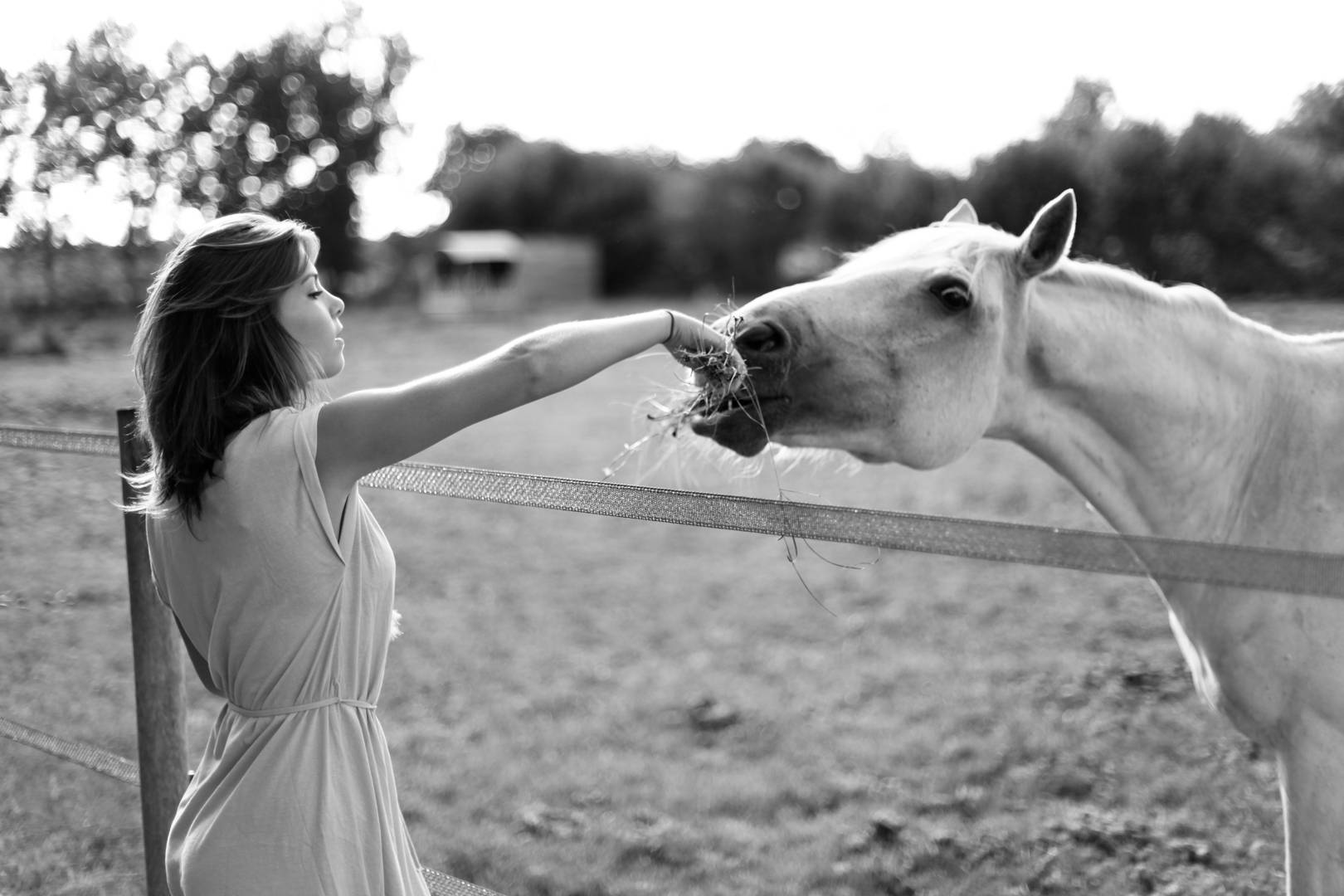 Clément Viala photographe de portraits & mariages