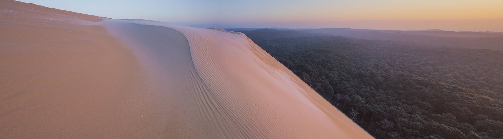 Bassin d'Arcachon - Dune du Pilat #13