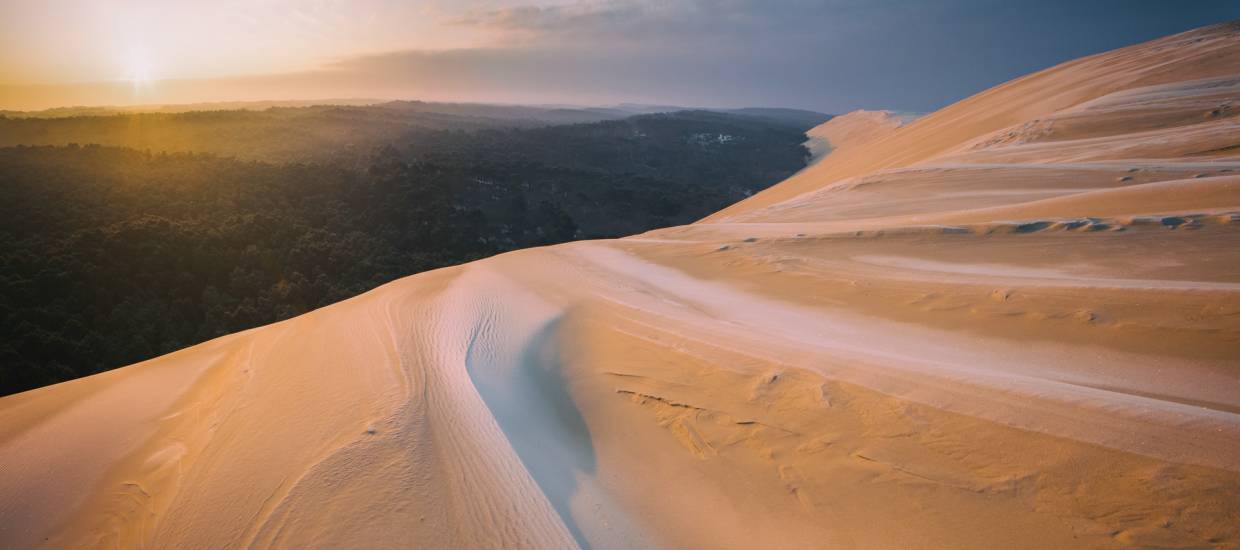 Bassin d'Arcachon - Dune du Pilat #15