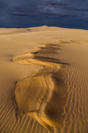 Bassin d'Arcachon - Dune du Pilat #5