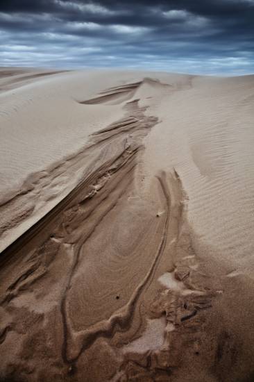 Bassin d'Arcachon - Dune du Pilat #8