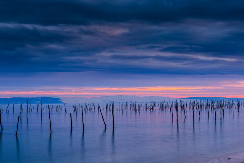 Bassin d'Arcachon - Vu d'en bas #10