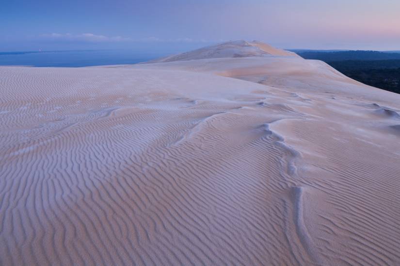 Dune du Pilat #34