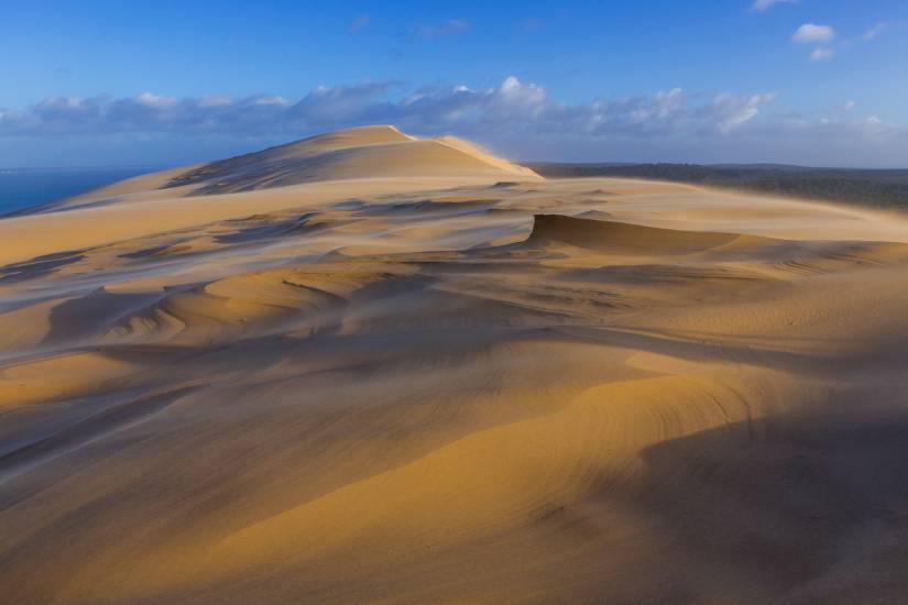 Dune du Pilat #38