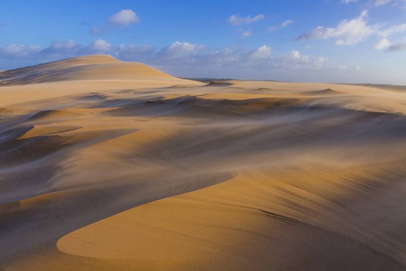 Dune du Pilat #40