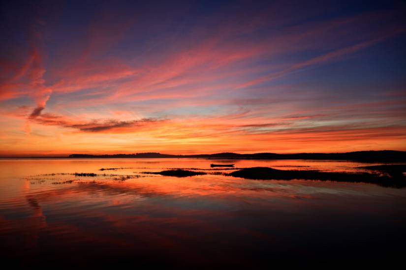 Bassin d'Arcachon - Vu d'en bas #21