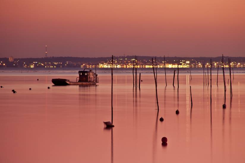 Bassin d'Arcachon - Vu d'en bas #22