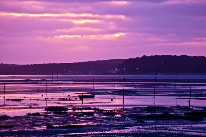 Bassin d'Arcachon - Vu d'en bas #24