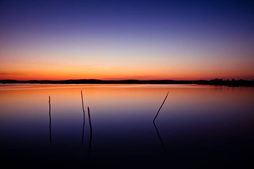 Bassin d'Arcachon - Vu d'en bas #37