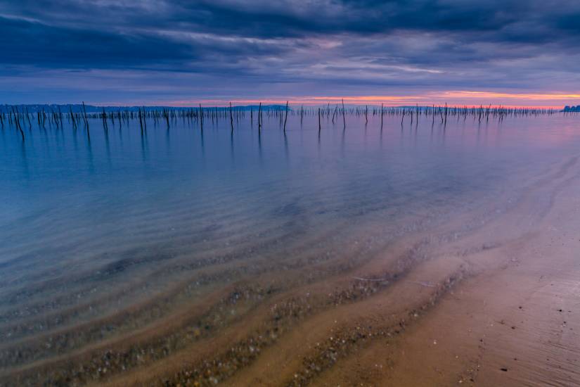 Bassin d'Arcachon - Vu d'en bas #9