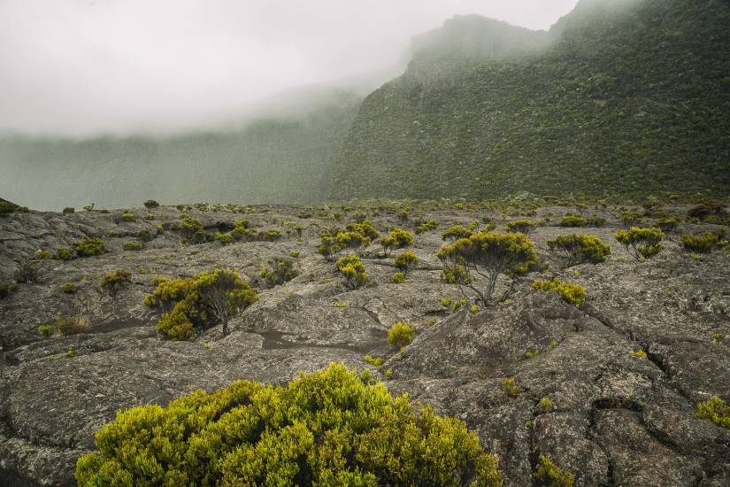 Photo - Île de la Réunion - Reunion-sol #13