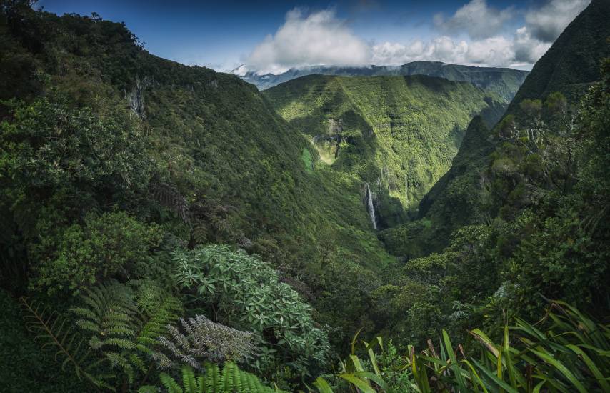 Photo - Île de la Réunion - Reunion-sol #16