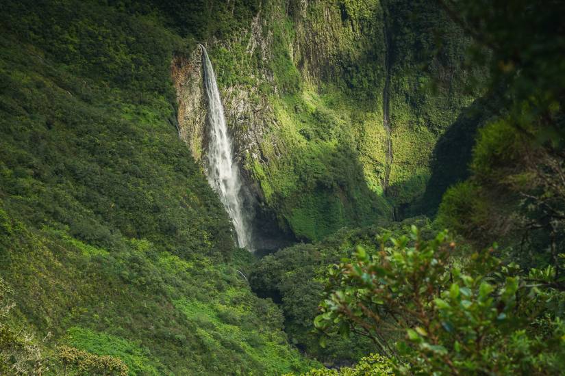 Photo - Île de la Réunion - Reunion-sol #9