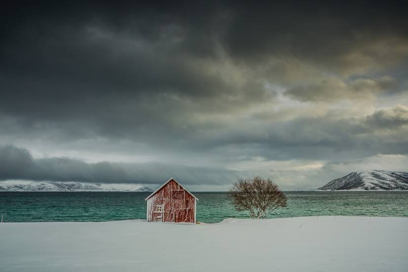 Photo - Norvège - Île de Senja - Senja-sol #11