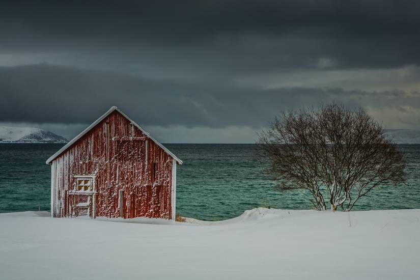 Photo - Norvège - Île de Senja - Senja-sol #12