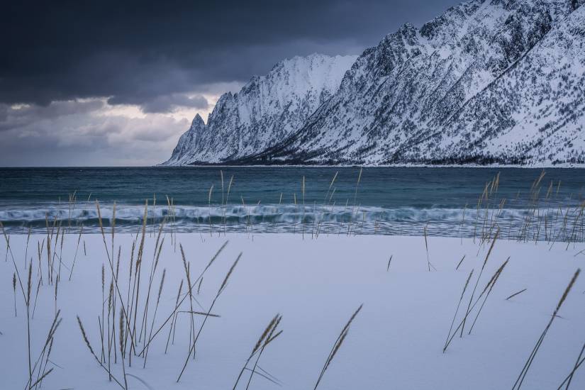 Photo - Norvège - Île de Senja - Senja-sol #30