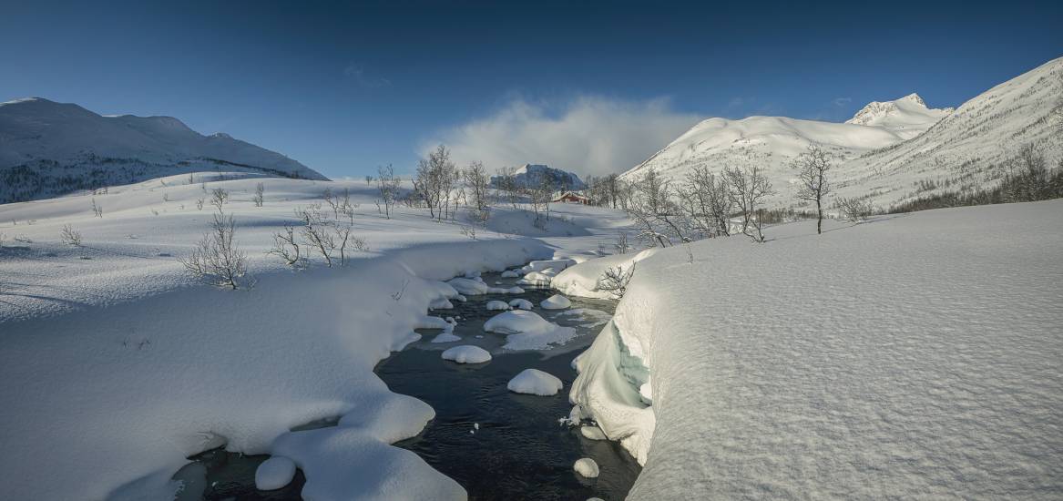 Photo - Norvège - Île de Senja - Senja-sol #35