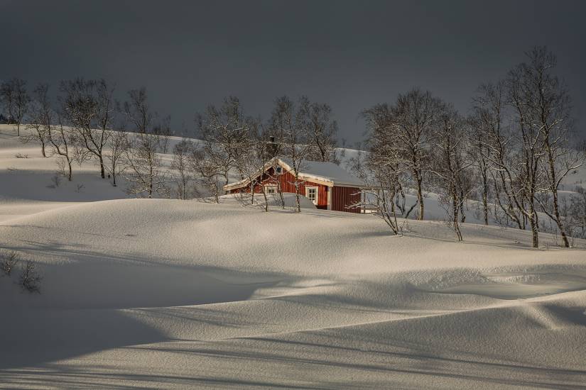 Photo - Norvège - Île de Senja - Senja-sol #37