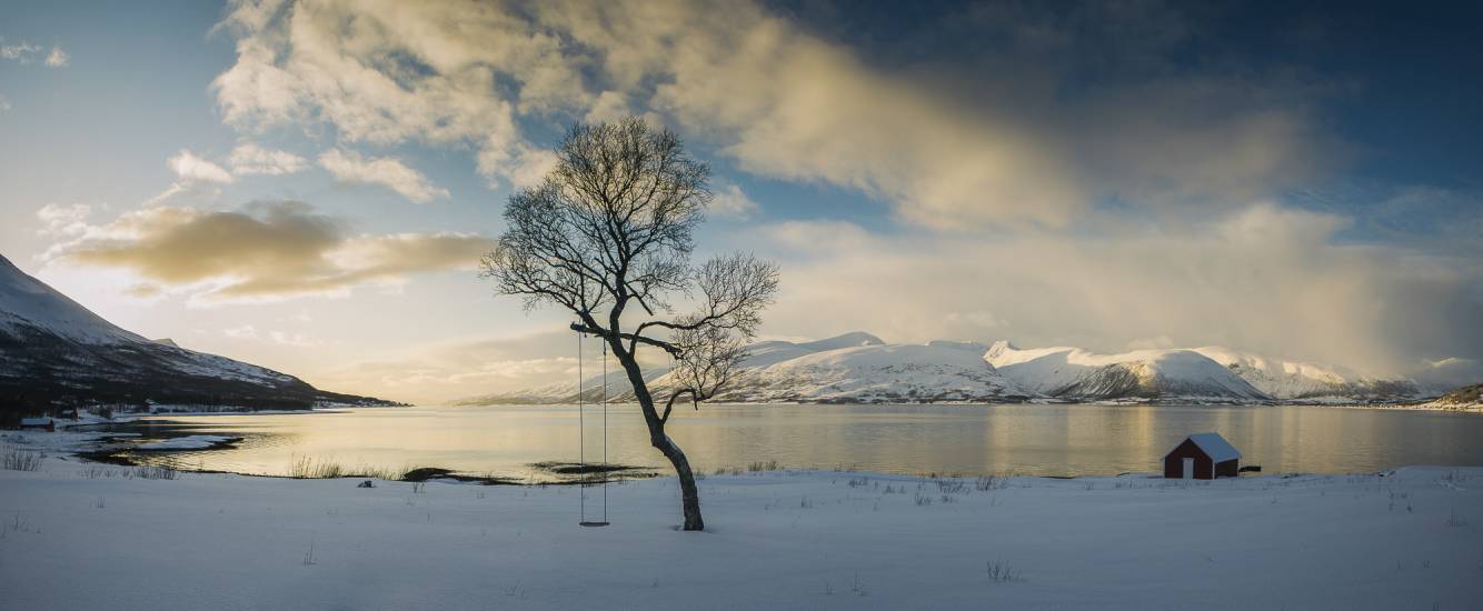 Photo - Norvège - Île de Senja - Senja-sol #38