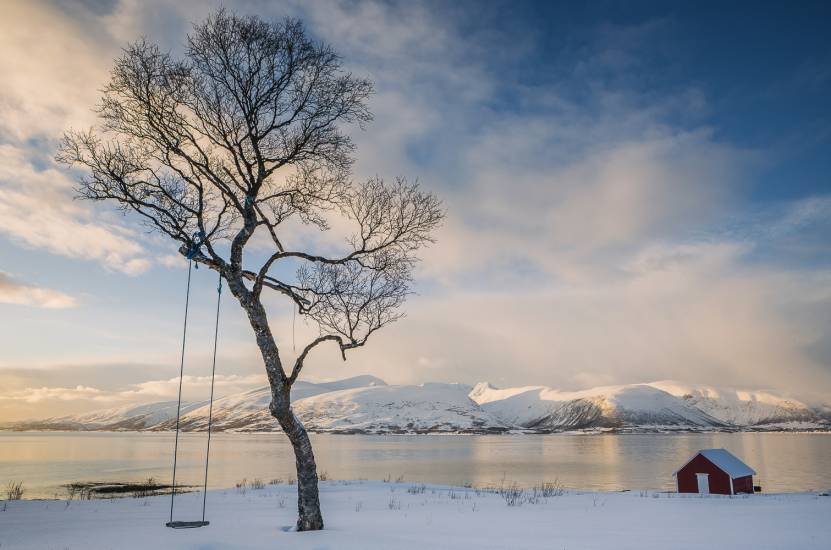 Photo - Norvège - Île de Senja - Senja-sol #39