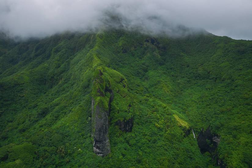 Photo - Polynésie Française - Vue du ciel - Raiatea #307