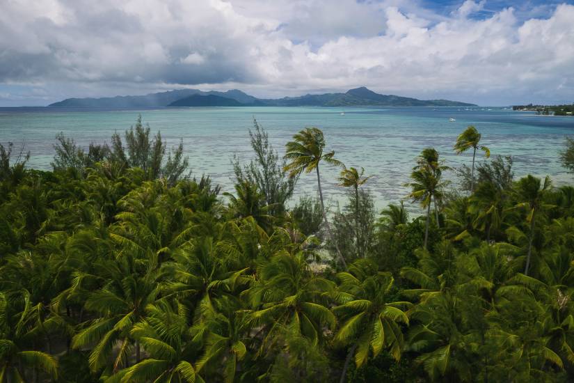 Photo - Polynésie Française - Vue du ciel - Raiatea #309