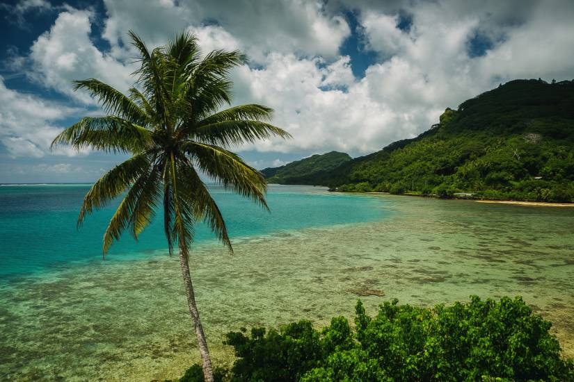 Photo - Polynésie Française - Vue du sol - Huahine #10