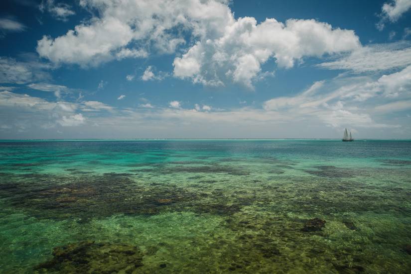 Photo - Polynésie Française - Vue du sol - Huahine #11