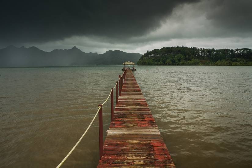 Photo - Polynésie Française - Vue du sol - Huahine #13