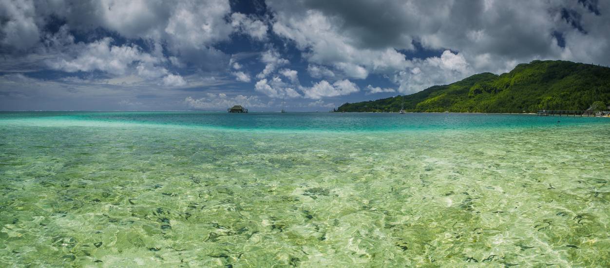 Photo - Polynésie Française - Vue du sol - Huahine #21