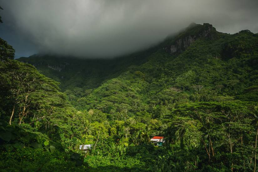 Photo - Polynésie Française - Vue du sol - Huahine #46