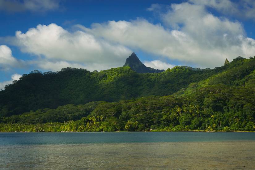 Photo - Polynésie Française - Vue du sol - Raiatea #22