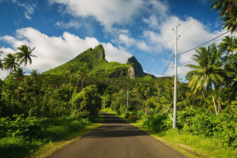 Photo - Polynésie Française - Vue du sol - Raiatea #23