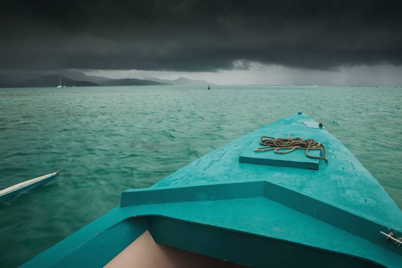 Photo - Polynésie Française - Vue du sol - Raiatea #26