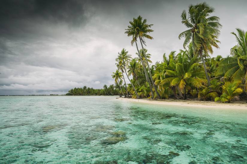 Photo - Polynésie Française - Vue du sol - Raiatea #28