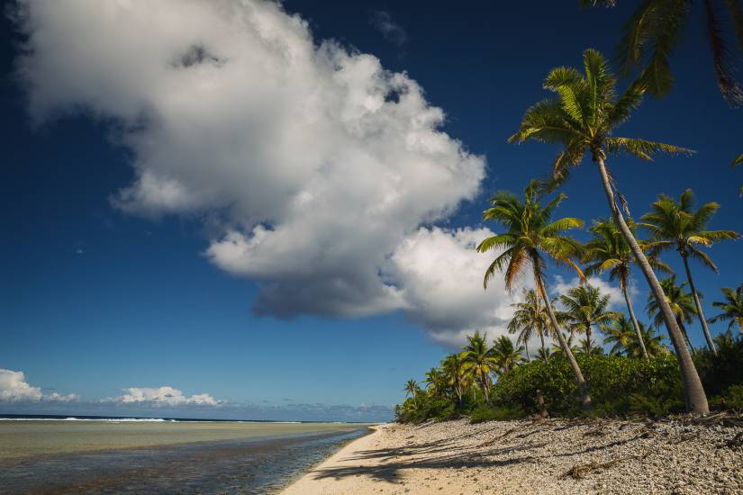 Photo - Polynésie Française - Vue du sol - Rangiroa #31