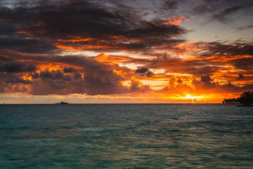 Photo - Polynésie Française - Vue du sol - Rangiroa #33