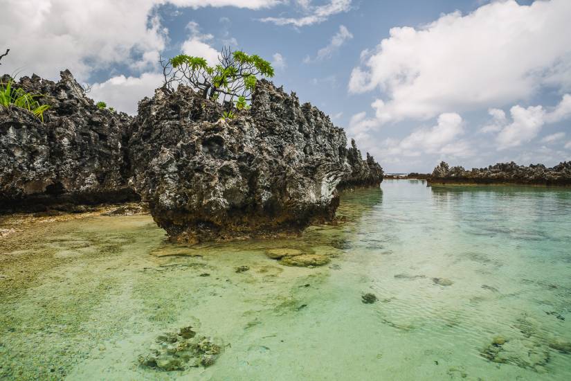 Photo - Polynésie Française - Vue du sol - Rangiroa #35