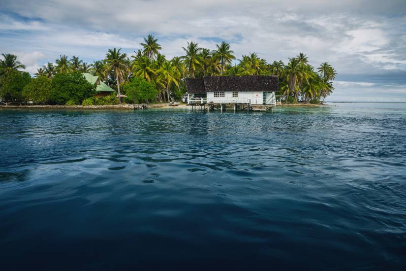 Photo - Polynésie Française - Vue du sol - Rangiroa #36