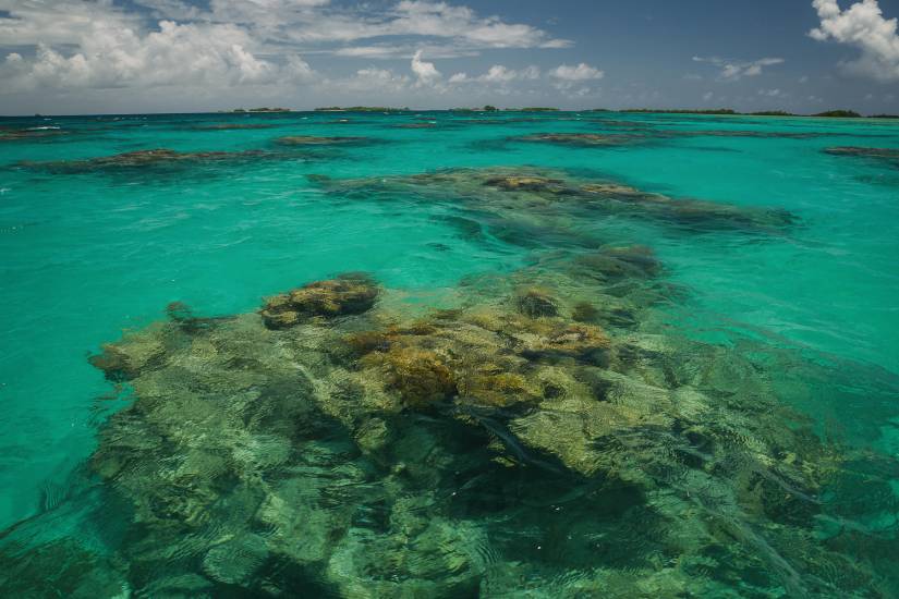 Photo - Polynésie Française - Vue du sol - Rangiroa #37