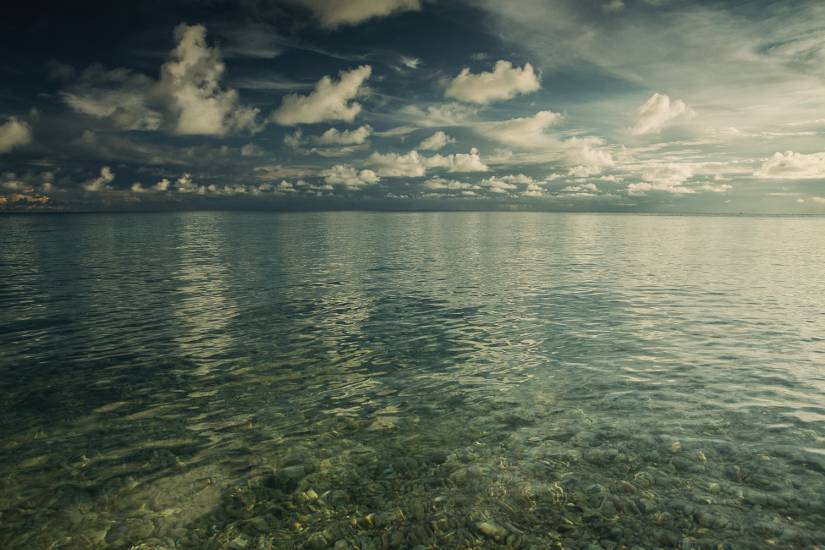 Photo - Polynésie Française - Vue du sol - Rangiroa #38