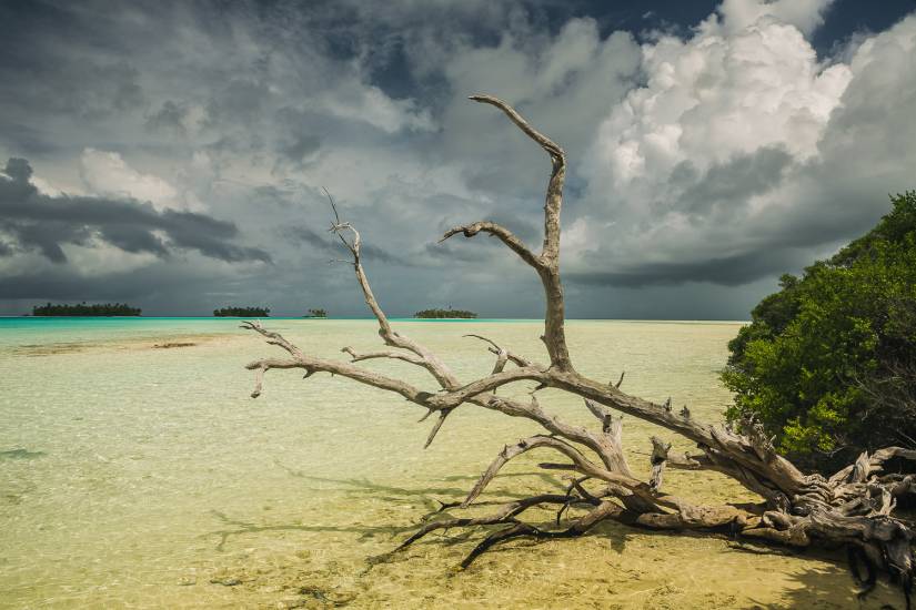 Photo - Polynésie Française - Vue du sol - Rangiroa #42