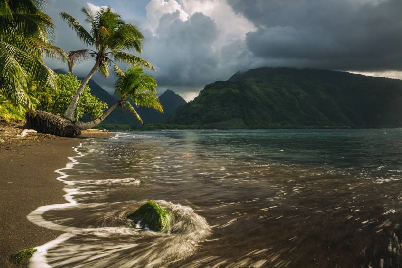 Photo - Polynésie Française - Vue du sol - Tahiti #39