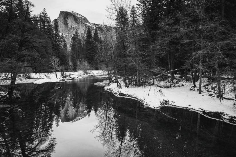 Photo - USA - Yosemite #51