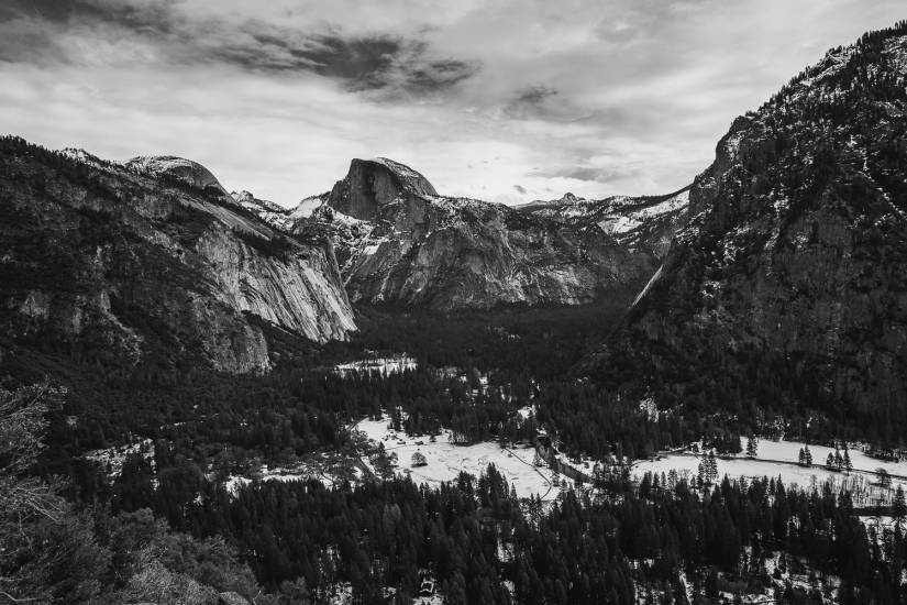 Photo - USA - Yosemite #52