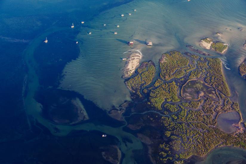 Photo - Vu du ciel - BassinArcachon-aerien #45