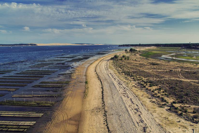 Photo - Vu du ciel - BassinArcachon-aerien #46