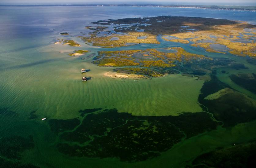 Photo - Vu du ciel - BassinArcachon-aerien #98